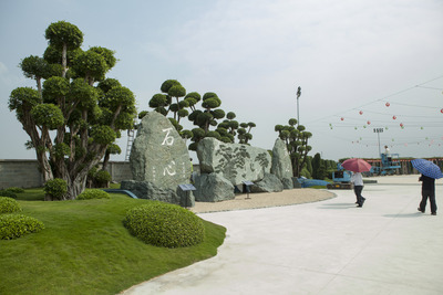 Công viên cá Koi - Hóc Môn