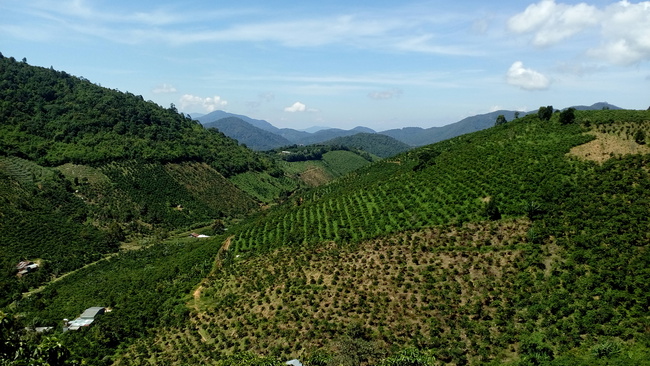 Hòa mình với thiên nhiên núi rừng Bảo Lộc Hòa mình với thiên nhiên núi rừng Bảo Lộc