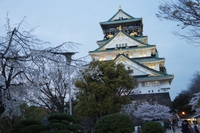 Thành Osaka - Biểu tượng cho thành cổ Nhật Bản (大阪城)
