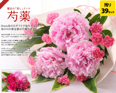 エレガントpeony 花 言葉 すべての美しい花の画像