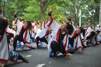 Lễ hội Yosakoi