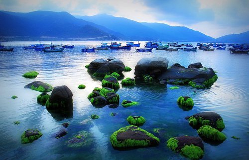 đảo bình hưng