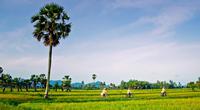 Du lịch An Giang- Châu Đốc, Viếng Bà Chúa Xứ