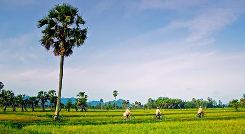 châu đốc