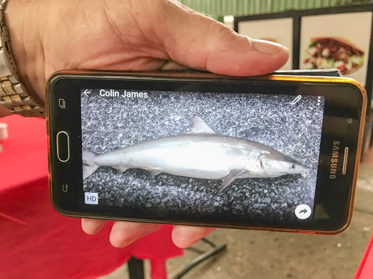 オーストラリア人にサメのフライを勧められて食べてみた ブンタウで奮闘する日本人のブログ