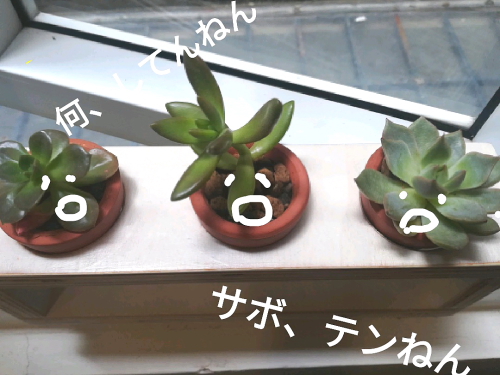 【ベトナムの人たちの屈託のない明るさが救い】