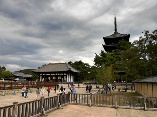 【興福寺「中金堂」301年ぶりに再建！＠観光客で賑わう秋の奈良】
