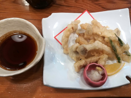 【観光客溢れるオンシーズン＠奈良】