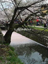 Tetsugaku no michi