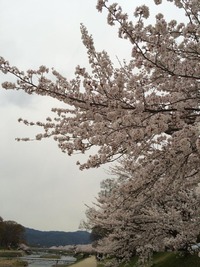 Kamogawa Kyoto4