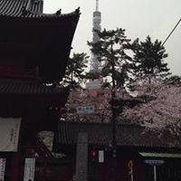 Shiba Kouen3