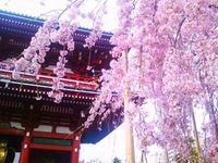 Asakusa