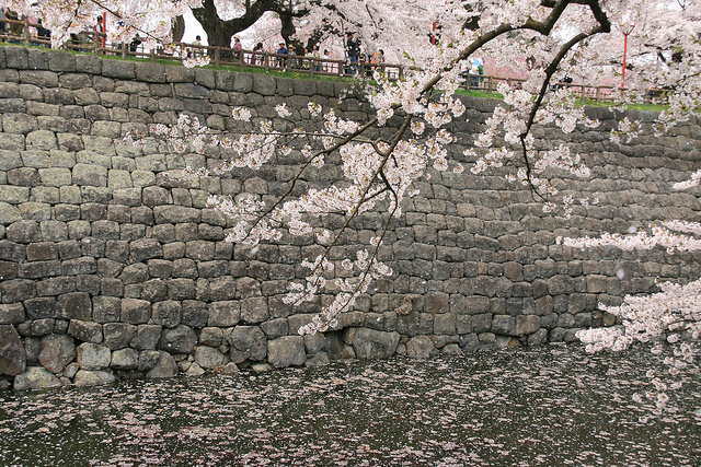 Hirosaki Sakura Festival