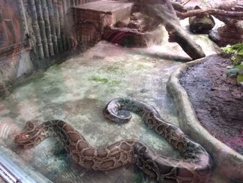 サイゴン動物園に行ってきました ベトナムでビジネスを